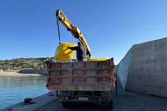 gallery-01.artificial-reef-rhodos-plimmiri-00000
